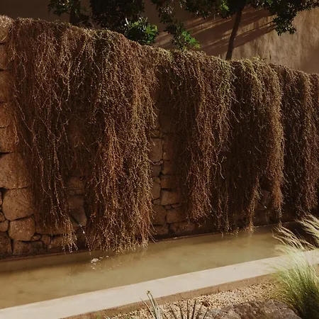 Ecohotel El Agua 빌라 5*