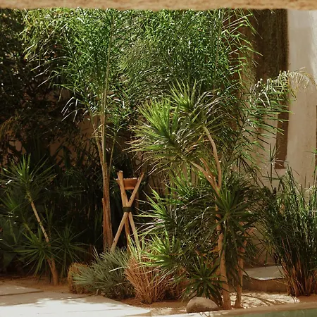 빌라 Ecohotel El Agua