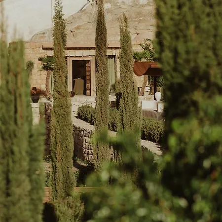 Ecohotel El Agua * Arico el Nuevo