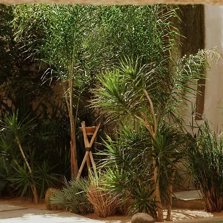 Ecohotel El Agua Arico el Nuevo